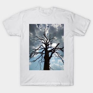 Tree Silhouette T-Shirt